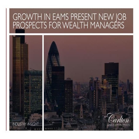 Understanding How External Asset Managers Add Value | PDF