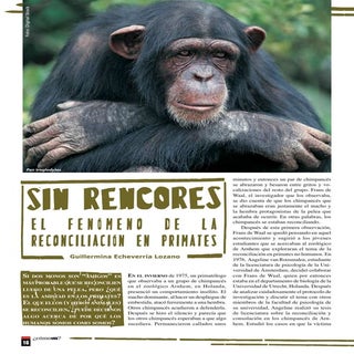 Sin rencores-Como ves Nov 06