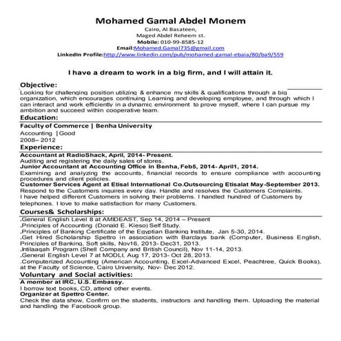 Mohamed Gamal (Accountant)