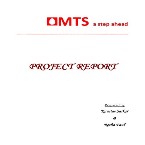 Project Report