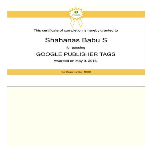 GOOGLE PUBLISHER TAGS | PDF