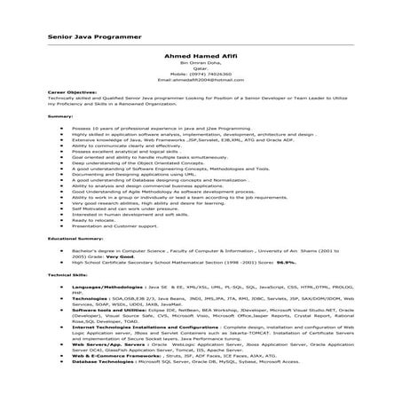 Senior-Java-Programmer-CV