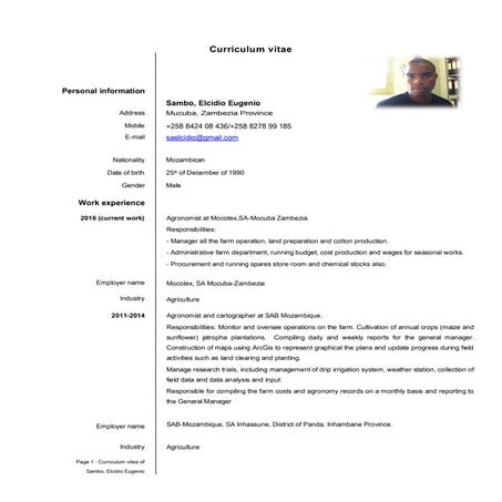 Curriculum_Vitae_English | PDF