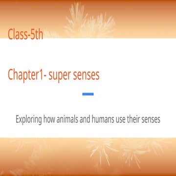 Super senses class 5 | PPTX