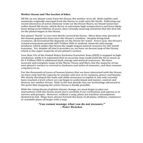 Project Infinity Research Report_052310