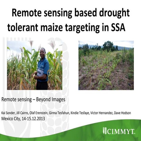 Remote sensing based drought tolerant maize targeting in SSA 