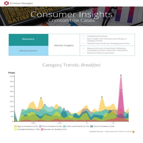 Consumer Insights two pager | PDF | Business | Business and Finance