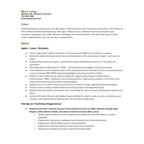 Blue Lang - Engineering Leader