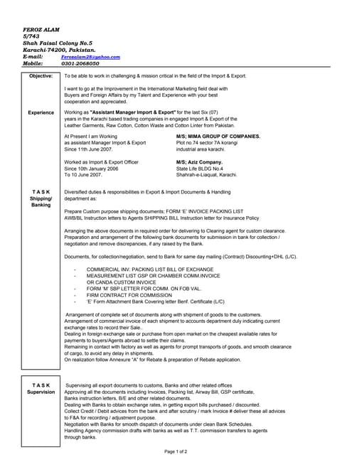 cv irakli zaqaraia ENG (1) | DOC