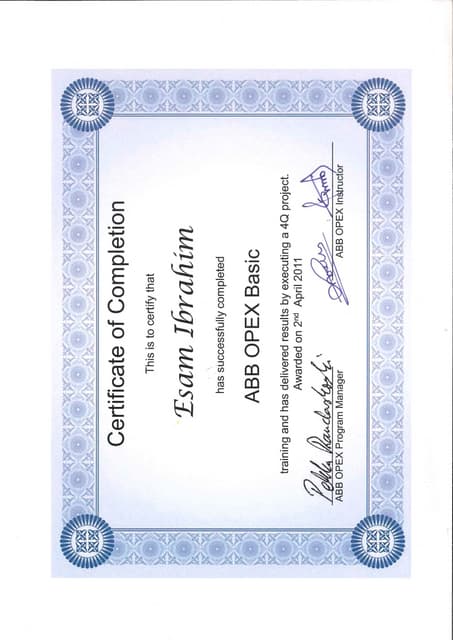 MINI MBA Certificate | PDF