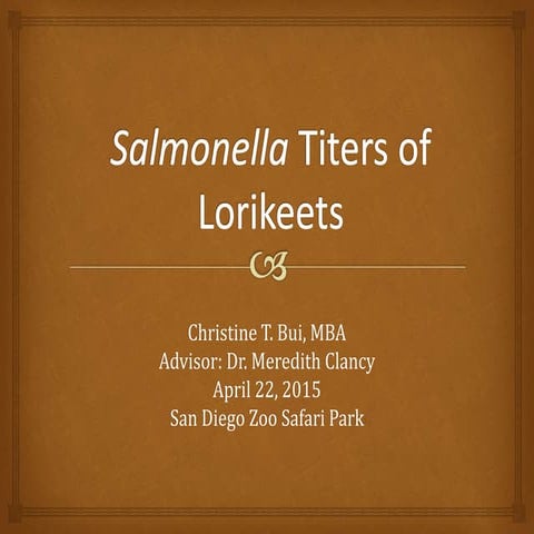 BUi_Final Presentation_SDZSP