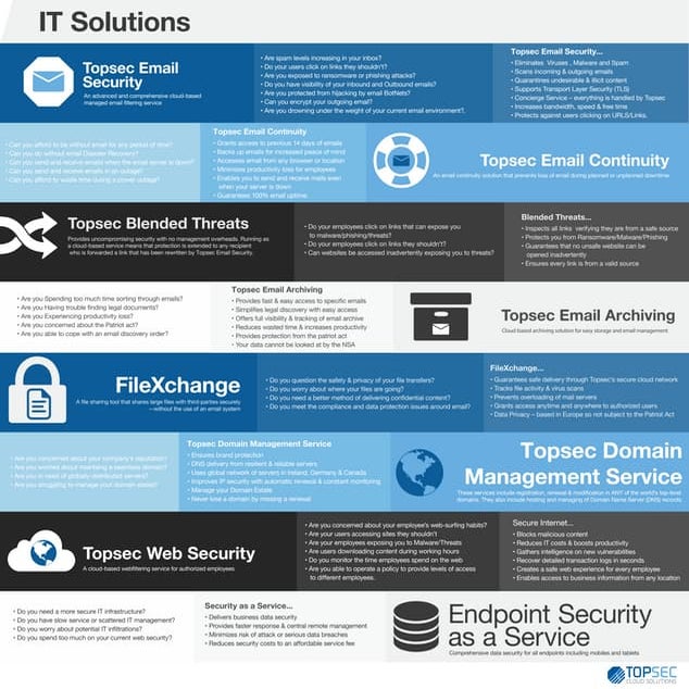 Topsec Service Infographic