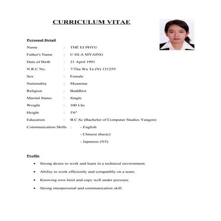 CURRICULUM VITAE