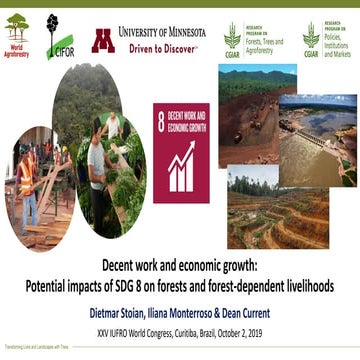 Decent work and economic growth: Potential impacts of SDG 8 on forests and fo...