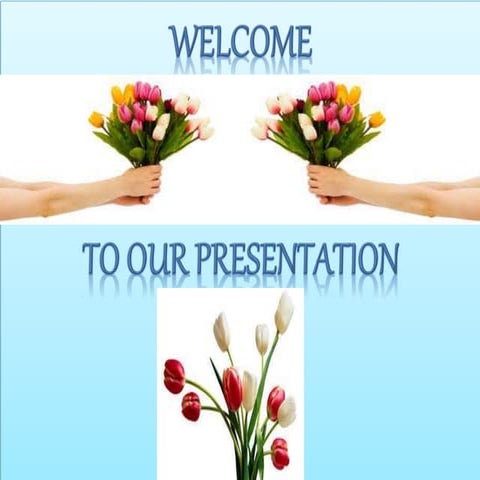 Street Food Presentation By Rimon Rayhan