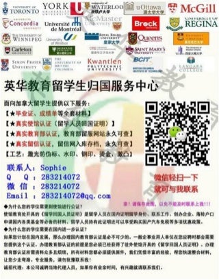 酒店工作经历怎么写