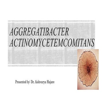 Aggregatibacter actinomycetemcomitans