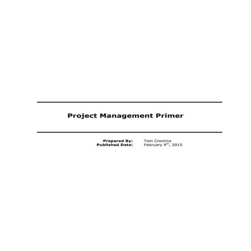 Project Manager Primer