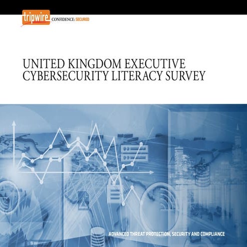 Tripwire_UK_Executive_Cybersecurity_Literacy_Survey