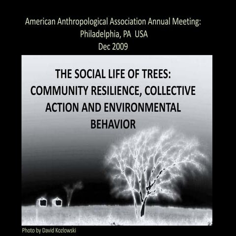 Trees and Rebirth: Resilience, Ritual and Symbol in Community‐based ...