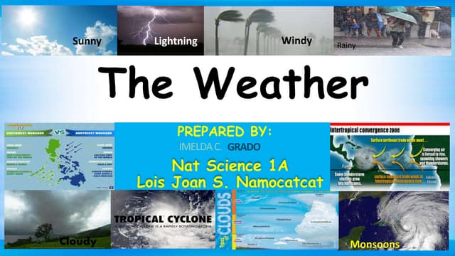 The Weather