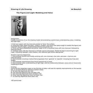 Assignment: The Figure and Light; M...