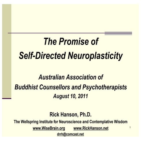 The Promise of Self-Directed Neuroplasticity