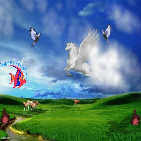 autoclaved aerated concrete