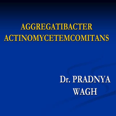 Aggregatibacter actinomycetemcomitans