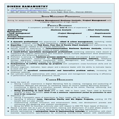 Dinesh Ramamurthy Team Manager