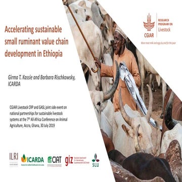 Accelerating sustainable small ruminant value chain development in Ethiopia