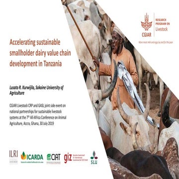 Accelerating sustainable smallholder dairy value chain development in Tanzania