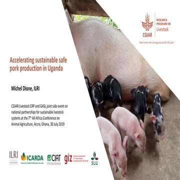 Accelerating sustainable safe pork production in Uganda