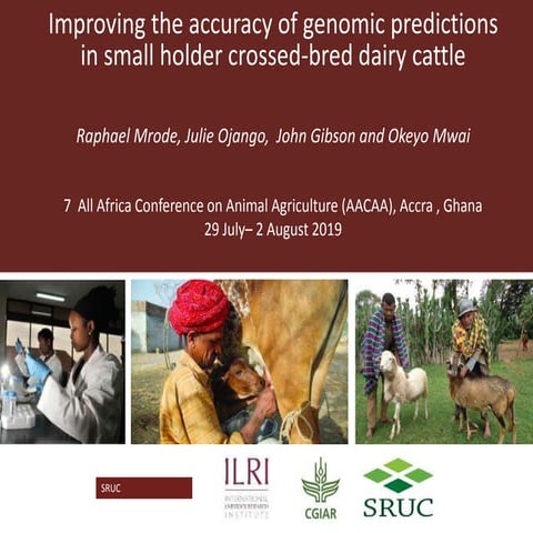 Improving the accuracy of genomic predictions in small holder crossed-bred da...