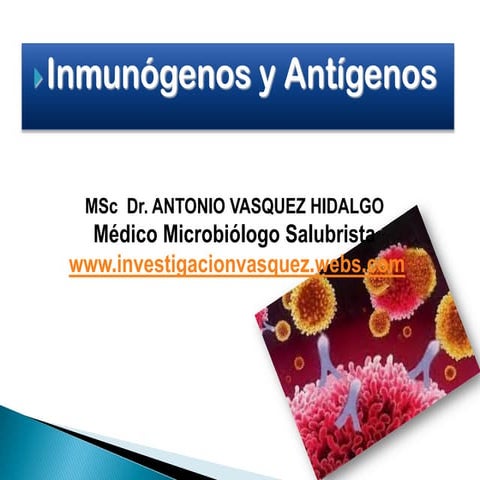 Inmunocomplejo: complejo antigeno-anticuerpo | DOCX