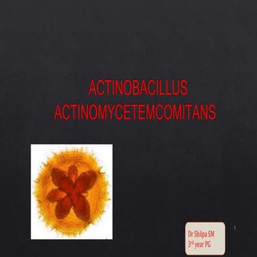 Aa comitans sem15.pptx