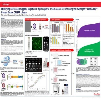 Identifying novel and druggable targets in a triple negative breast cancer ce...