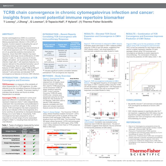 TCRB chain convergence in chronic cytomegalovirus infection and cancer