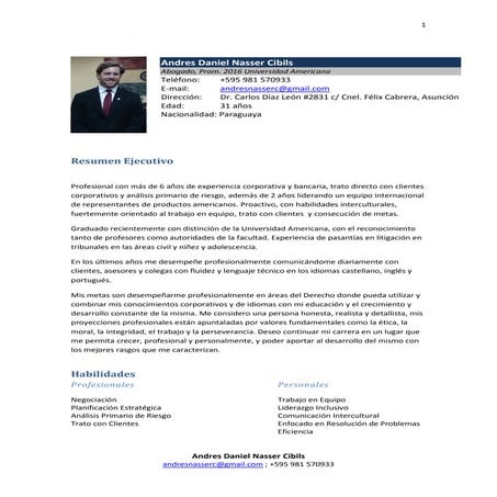 CV ANDRES NASSER CIBILS