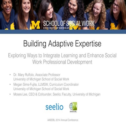Building Adaptive Expertise: Exploring Ways to Integrate Learning and ...