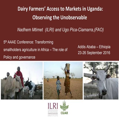 Dairy farmers’ access to markets in Uganda: Observing the unobservable