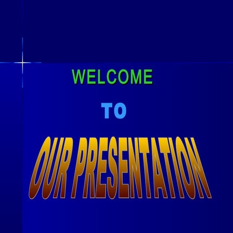 APEX Adelchi Footwear Ltd.presentation