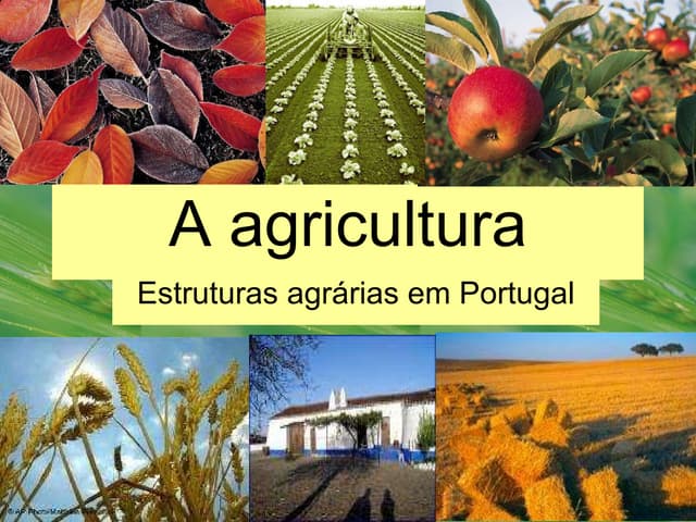A Agricultura