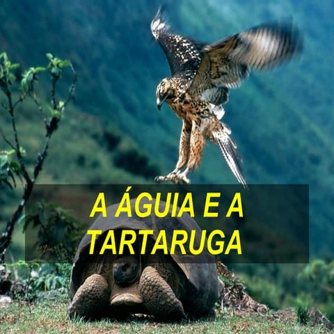 A Aguia E A Tataruga
