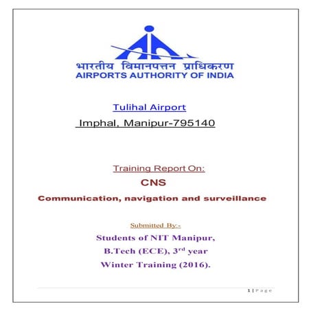 AAI Report on CNS (winter training)