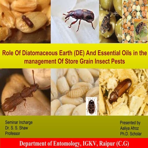 Role Of Diatomaceous Earth (DE) And Essential Oils in the management Of Store...