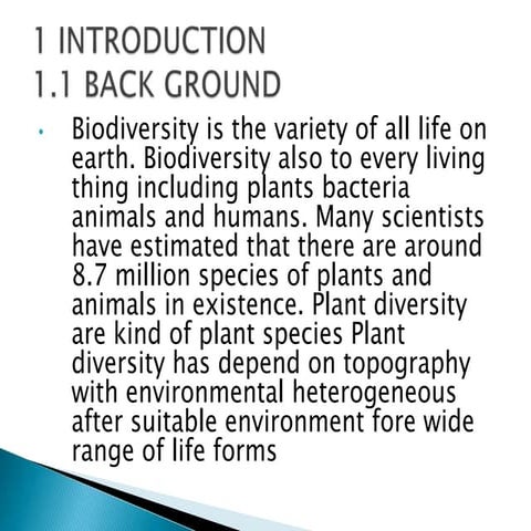 Gammeejawar Ali forest students ppt.pptx
