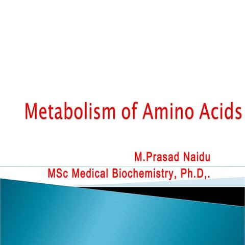 Amino Acids metabolism