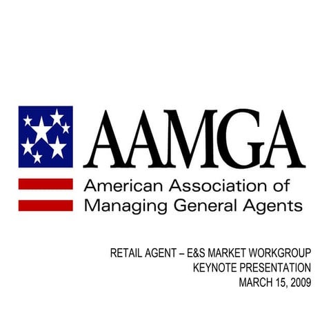 AAMGA Presentation Mar15 2009