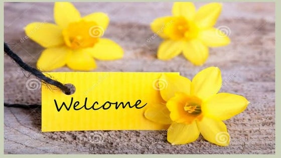 URSA charlie %5bAutosaved%5d 2 (3) | PDF